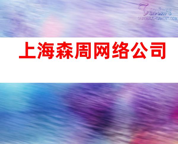 上海森周网络公司