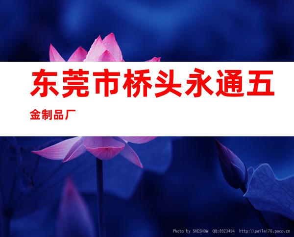 东莞市桥头永通五金制品厂