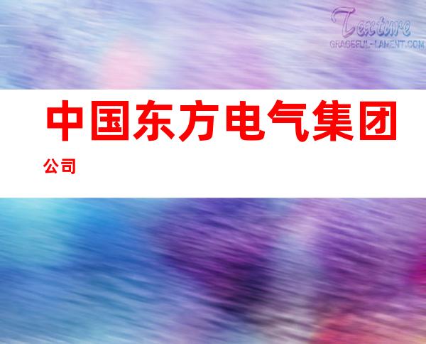 中国东方电气集团公司