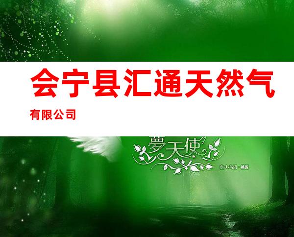 会宁县汇通天然气有限公司